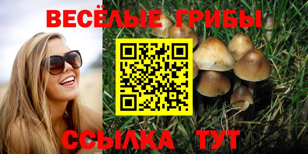 МЕФ кристаллы  LSD-25  Вход с VPN  КОКАИН  Метамфетамин  ГАШ  Россошь  МАРИХУАНА  A PVP СОЛЬ кристаллы 